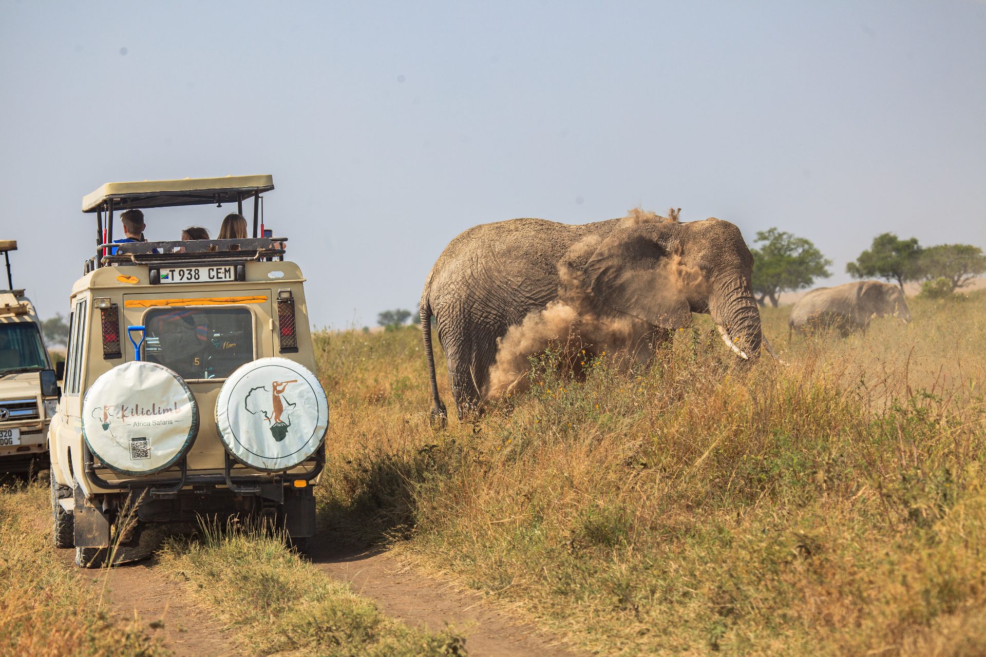 3-Day Calving Migration, Southern Serengeti & Ngorongoro, Ngorongoro, Arusha — photo 2