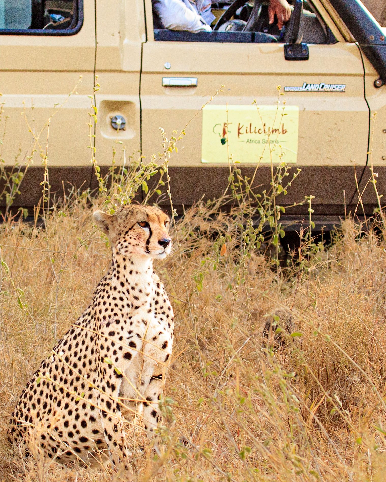 3-Day Calving Migration, Southern Serengeti & Ngorongoro, Ngorongoro, Arusha — photo 4